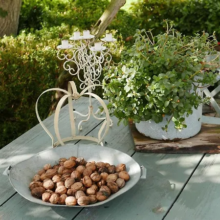 Bed En Omelet ベッド・アンド・ブレックファスト