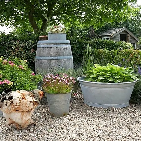 B&B Bed En Omelet Wagenberg
