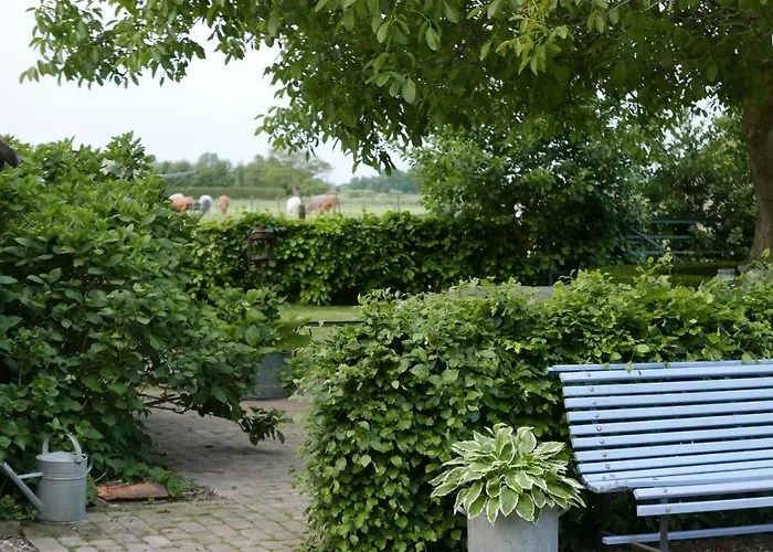 ベッド・アンド・ブレックファスト Bed En Omelet