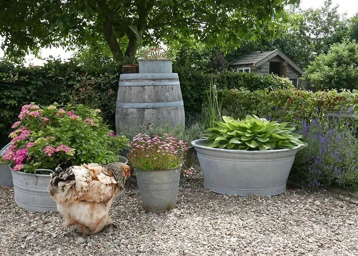 Bed En Omelet ワーゲンベルグ