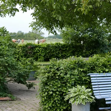 Panzió Bed En Omelet