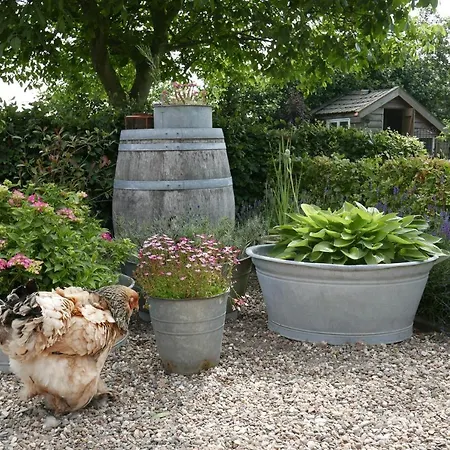 Bed En Omelet Wagenberg