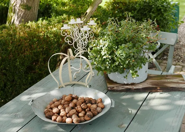 Bed En Omelet Bed & Breakfast